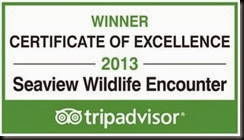 2013 Trip Advisor 2 2013 Trip Advisor 2