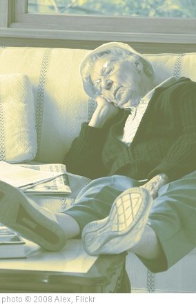 'sunroom nap' photo (c) 2008, Alex - license: http://creativecommons.org/licenses/by/2.0/