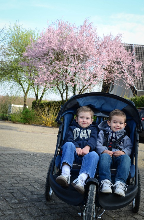 spring walk4 spring walk4