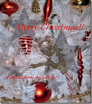 MerryChristmasGEDC3653