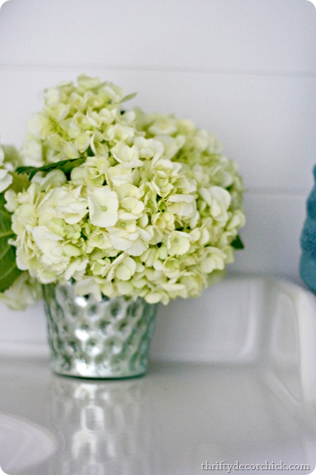 hydrangea in vase