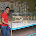 Remnants of a dead crocodile Remnants of a dead crocodile