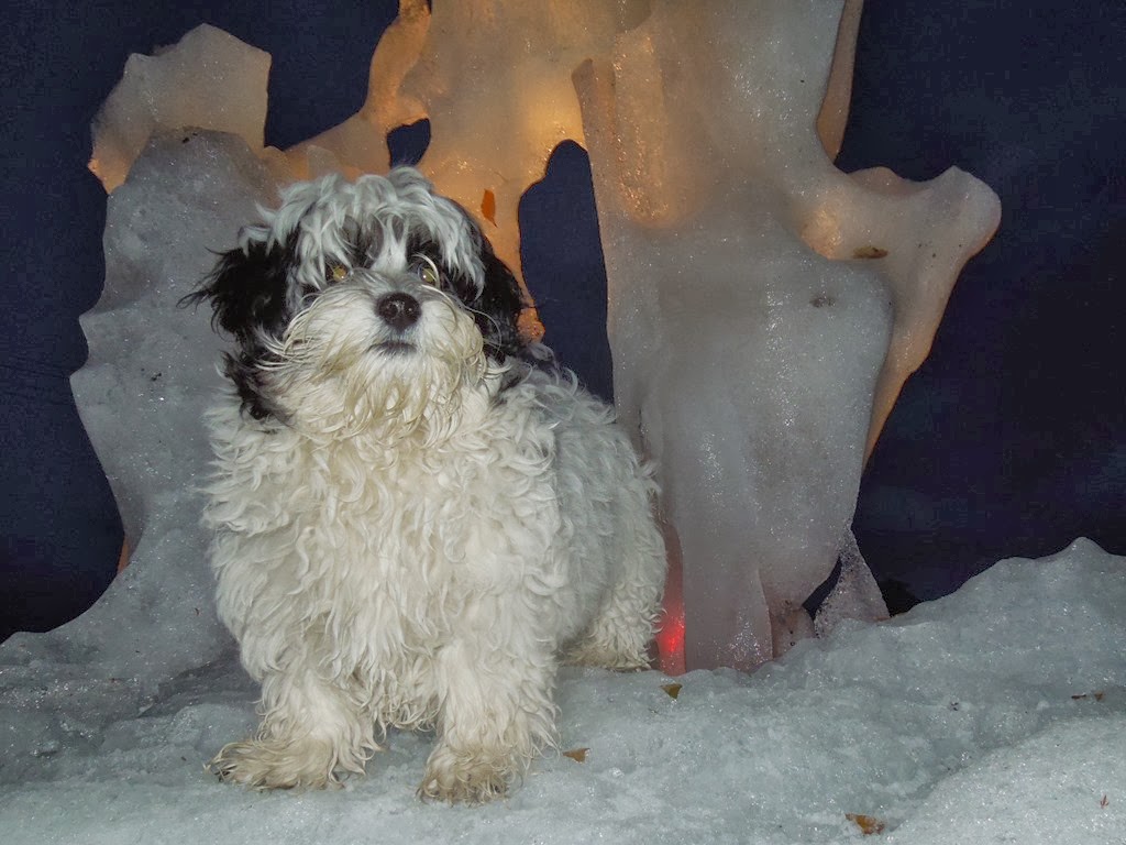 [DSCN0775%255B3%255D.jpg]