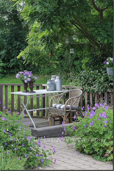 Home & Lifestyle Home & Lifestyle