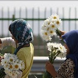 مردمی همین نزدیکی&zwnj;ها