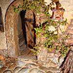 1515-4.JPG