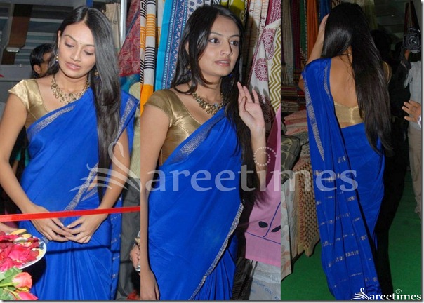 Nikitha_Narayan_Blue_Saree