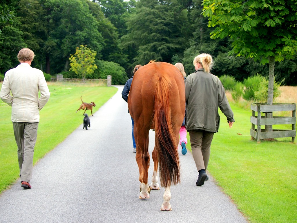 [11%2520Aug%25205%255B3%255D.jpg]