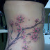 Cherry Blossom Branch