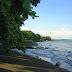 Shoreline of High Ponds Resort