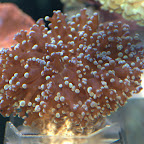 DSC_2110.jpg