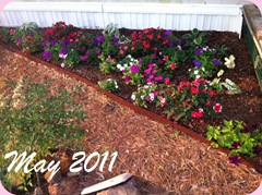 Garden after month - altered