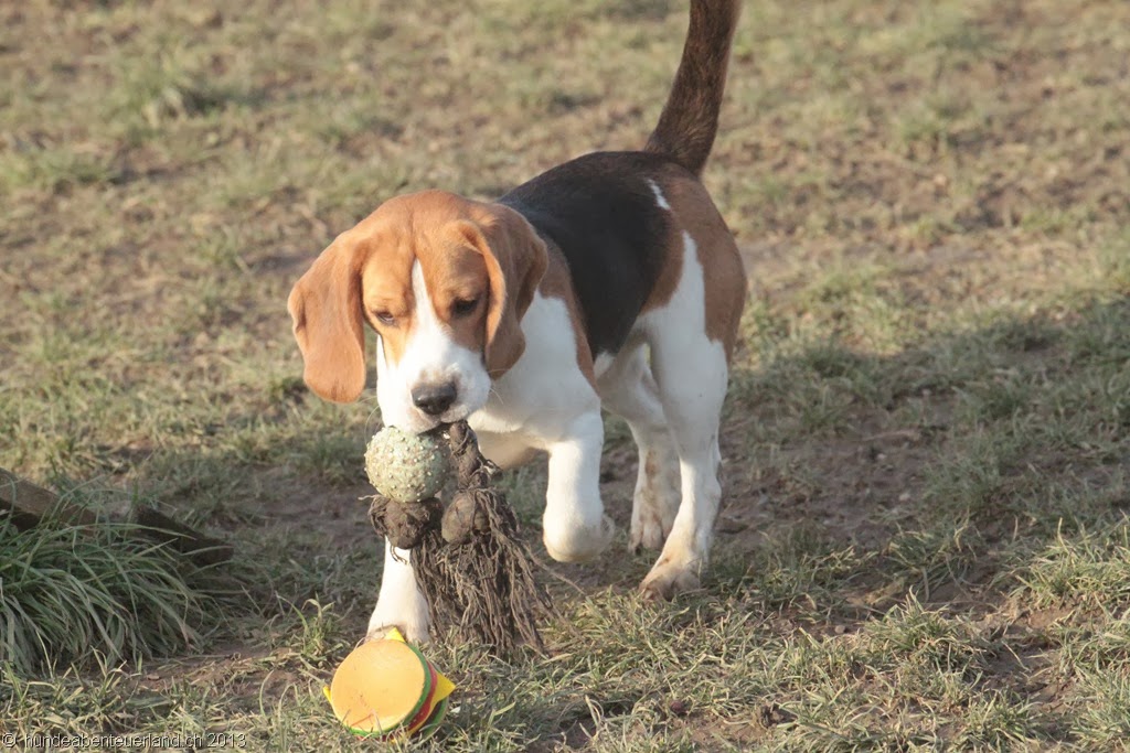 [IMG_6187%255B3%255D.jpg]