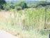 South Africa Day 2 - Soweto