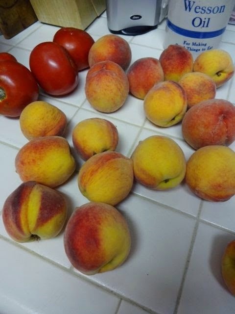 [Peaches-1%255B3%255D.jpg]