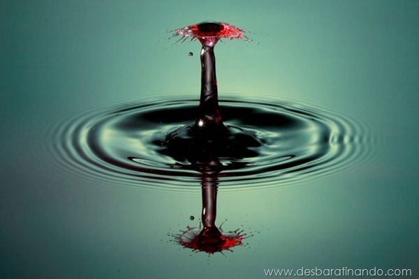 liquid-drop-art-gotas-caindo-foto-velocidade-hora-certa-desbaratinando (25)