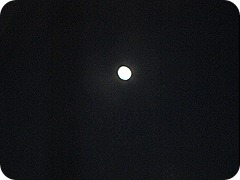 IMG_0610