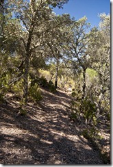 Rocas de la cueva103