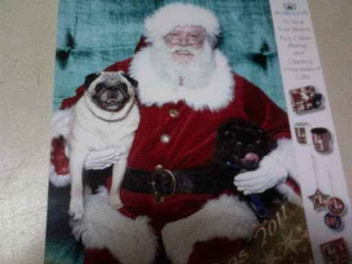 Tracy L. also brought her pugs, Milo and Frankie, to sit with Santa.