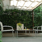 palilleria3.jpg