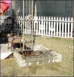 IMG_7512 IMG_7512