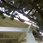 IMG_20101023_162955.jpg