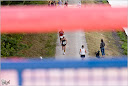 Roth_2010_376.jpg