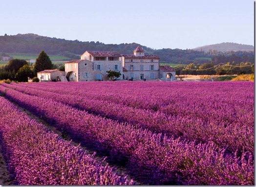 provence11-vinhoedelicias provence11-vinhoedelicias