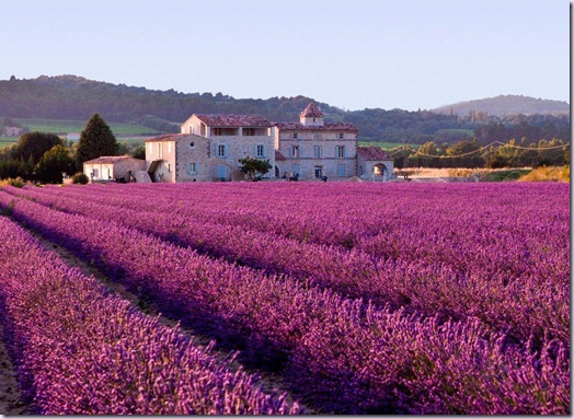 provence11-vinhoedelicias