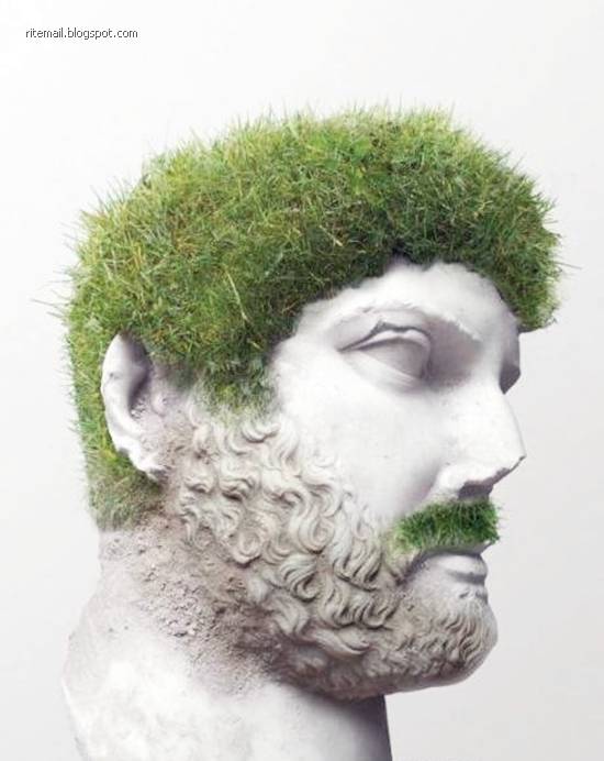 You don't take a photograph, you make it. - Ansel Adams