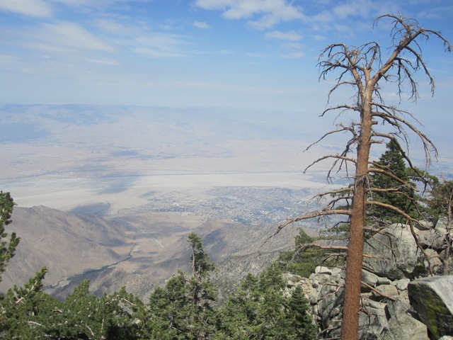 [IMG_0654%255B4%255D.jpg]