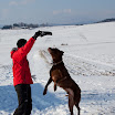 _MG_9503.jpg
