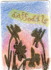 scan0007