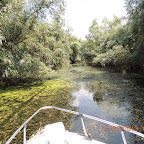 DSCN3046.JPG