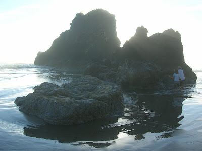 Sun Coming Through the Beach