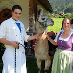 Lama Trekking im Edenlehen