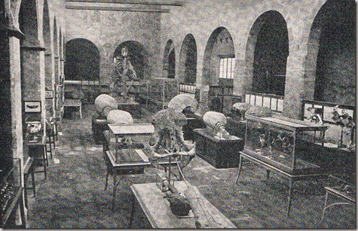 Antiguo Museo Paleontologico. Anos 50 Antiguo Museo Paleontologico. Anos 50
