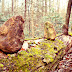 DSCN3636.JPG
