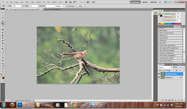 Step 1 Gaussian Blur