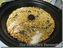 kettle corn - The Backyard Farmwife