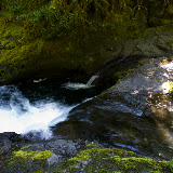 IMG_8805.jpg