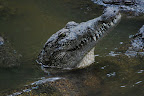 DSC_0514.JPG