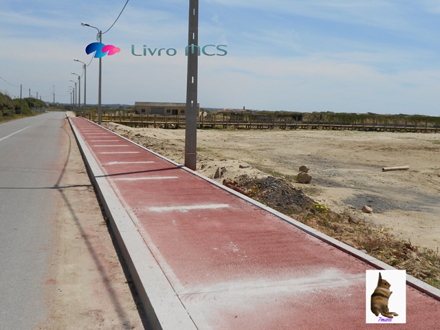 [Bolg%2520Gazeta%2520de%2520Espinho004%2520Livro%2520MCS%255B2%255D.jpg]