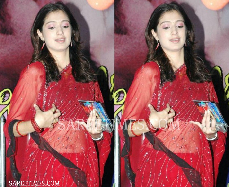 [Lakshmi_Rai_Hot_Saree%255B3%255D.jpg]