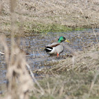 IMG_0969.JPG