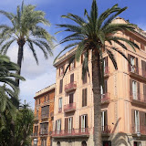 Urlaub - Mallorca 2007