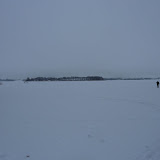 Kalvø