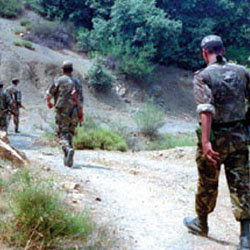Plus d’une dizaine de terroristes abattus en un mois,L’ANP nettoie les maquis en Kabylie