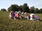 We're thankful for pink tu-tu's!
