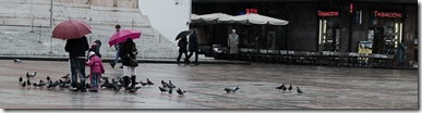 bologna_piazza_piccione-M bologna_piazza_piccione-M